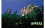 網(wǎng)絡(luò)熱門純玩游：張家界、天子山、袁家界、楊家界 自助三日游