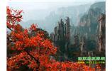 春節(jié)期間：張家界、天子山、金鞭溪自駕車精華精品游