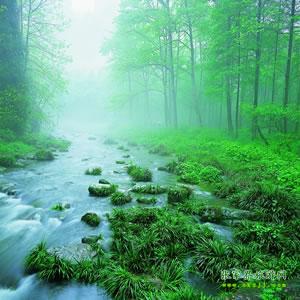 【純玩散拼尊享系列3】張家界、天子山、袁家界、黃龍洞、鳳凰三晚四日游